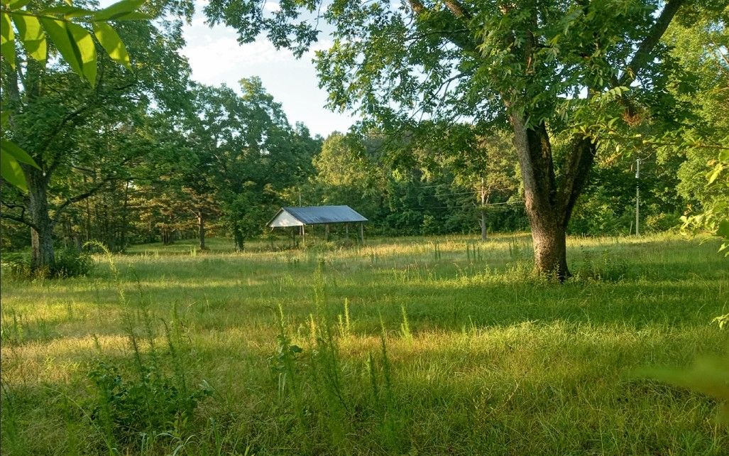 257 Chalk Rd, Carriere, MS