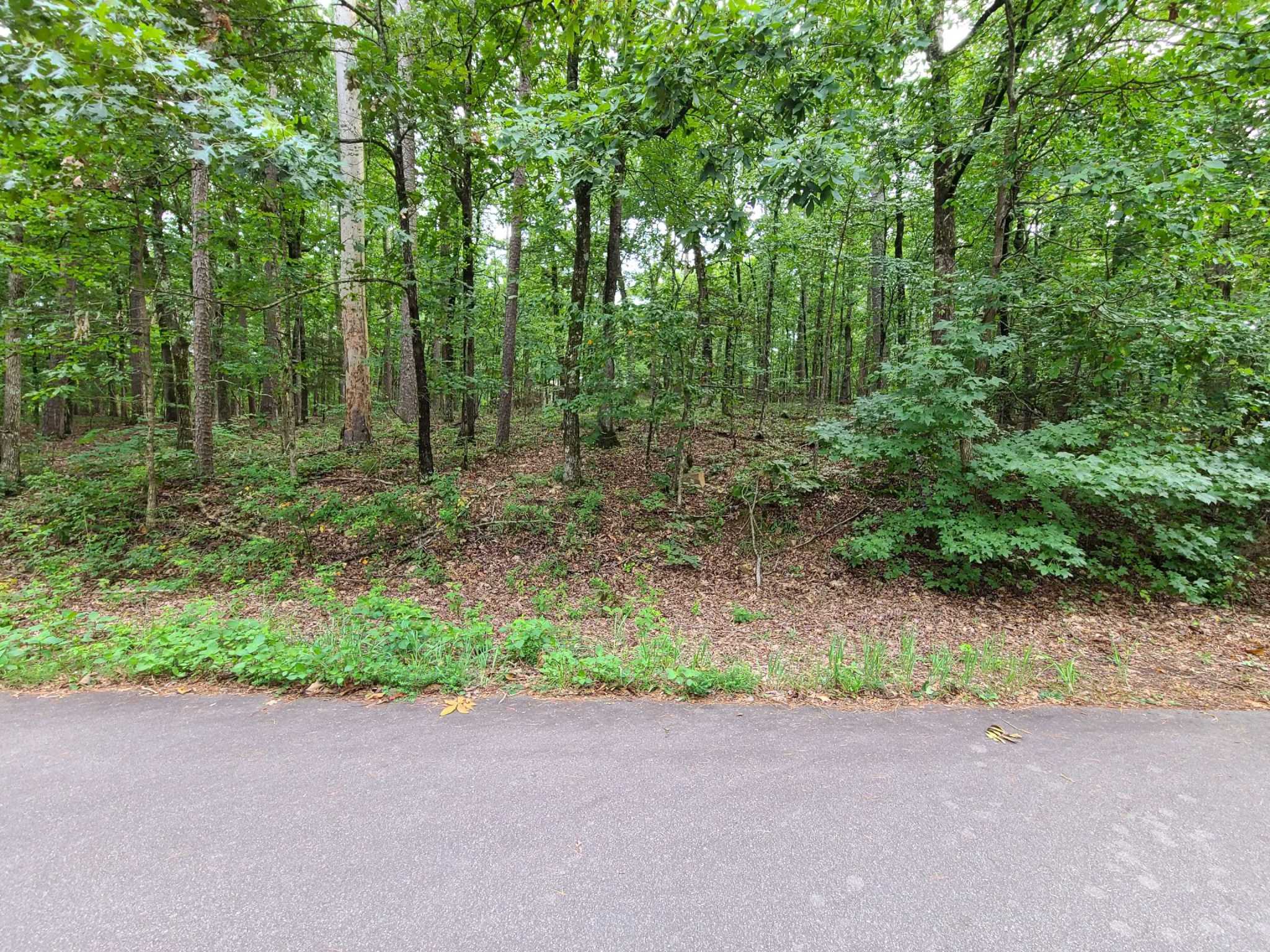 43 Accesso Circle, Hot Springs Village, AR