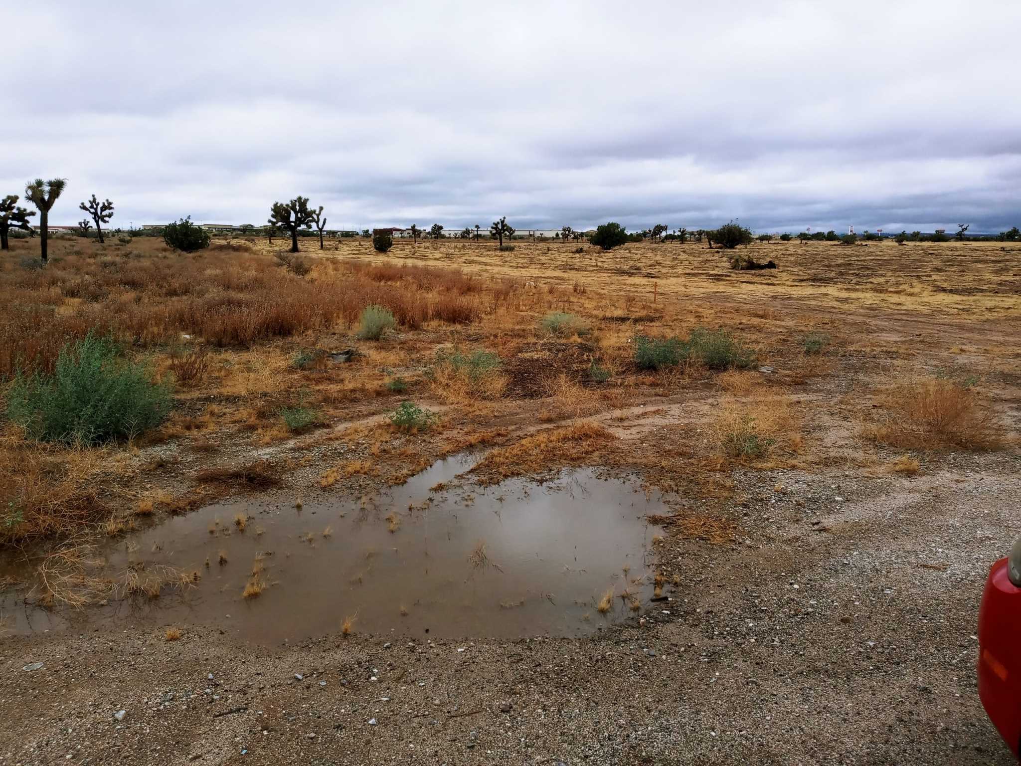 Mariposa, Hesperia, CA