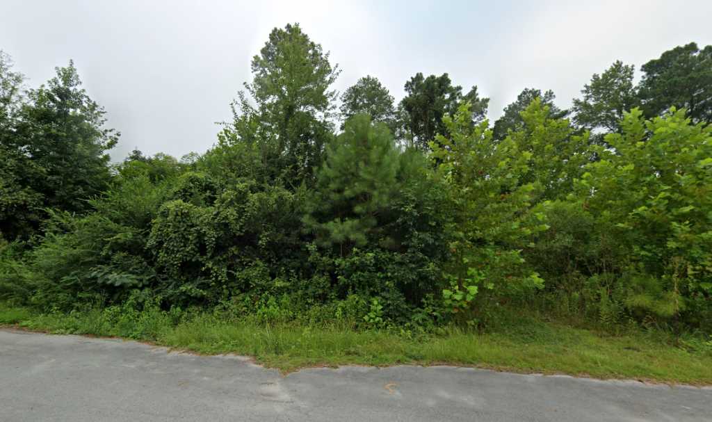 113 Bostic Rd, Richlands, NC