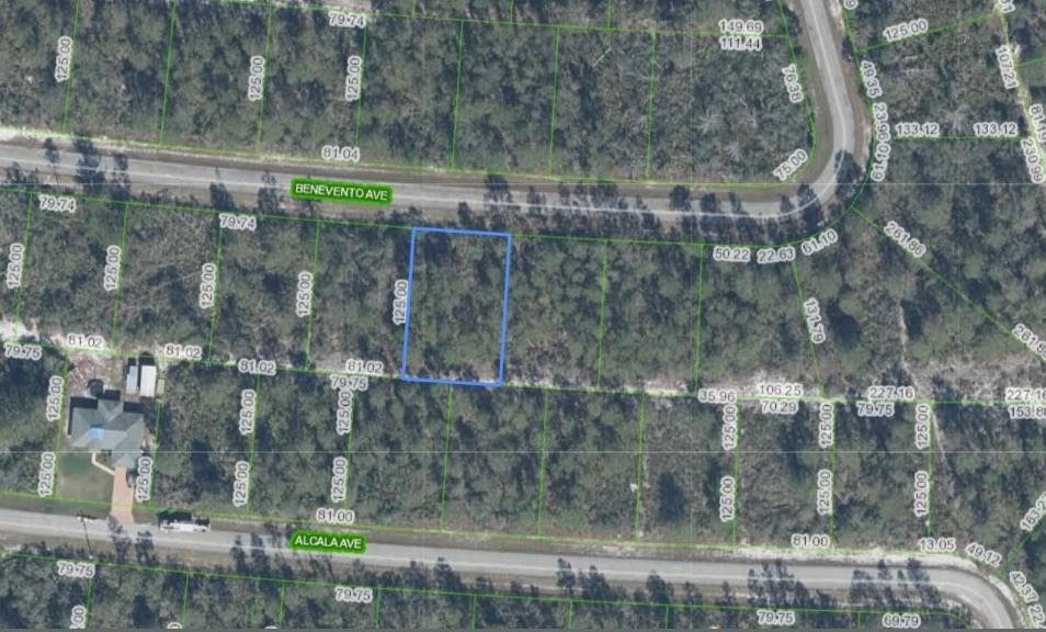 6121 Benevento Ave, Sebring, FL