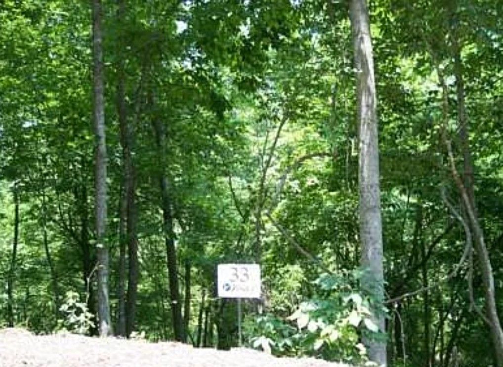 2.86 acres; GPS Coordinates 35.26536, -82.044114, Tryon, NC