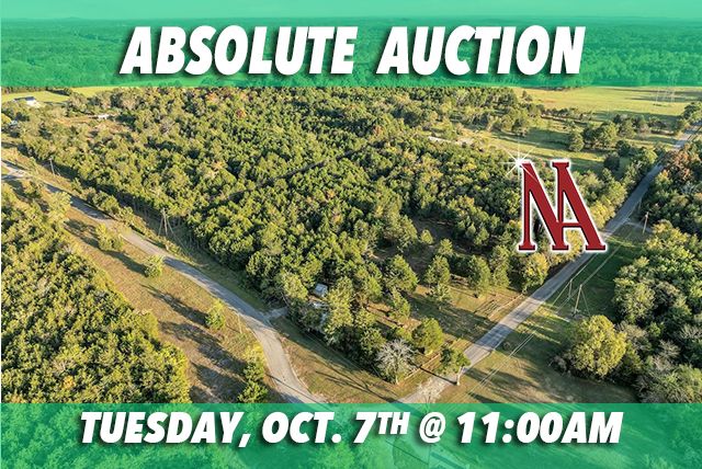 160 Osteen Ln, Chapel Hill, TN